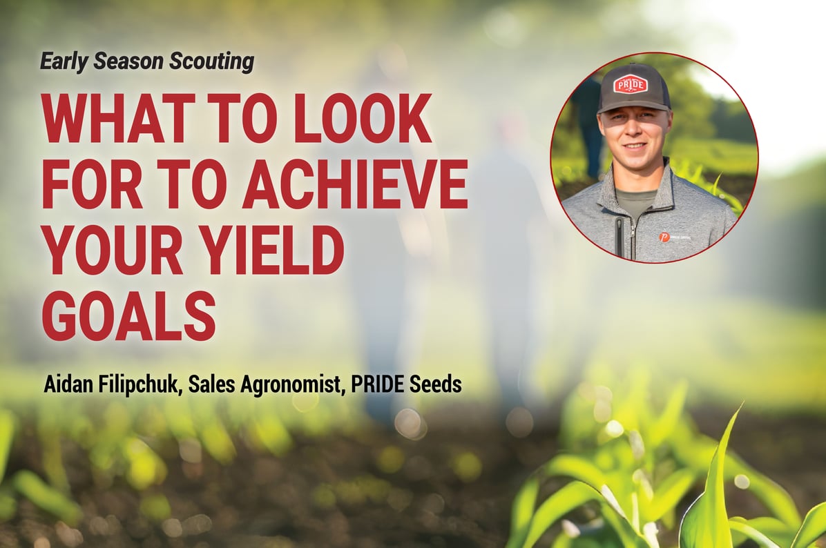 Aidan Filipchuk Early Scouting Header_hUBsPOT-01-01